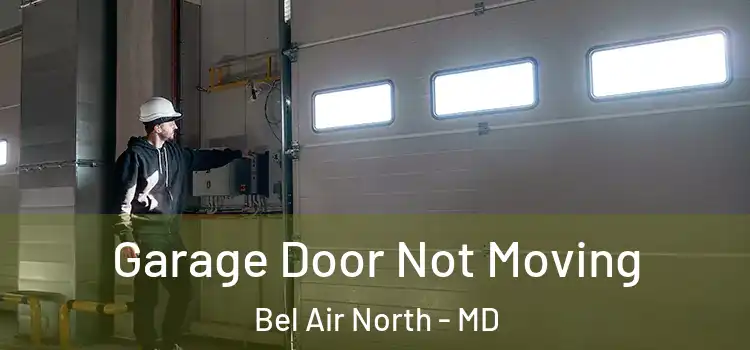  Garage Door Not Moving Bel Air North - MD