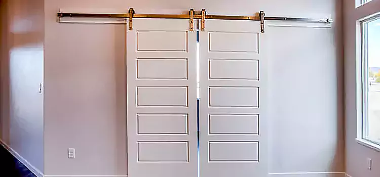 Glass Barn Door with Installation Hardware Kit Bel Air North